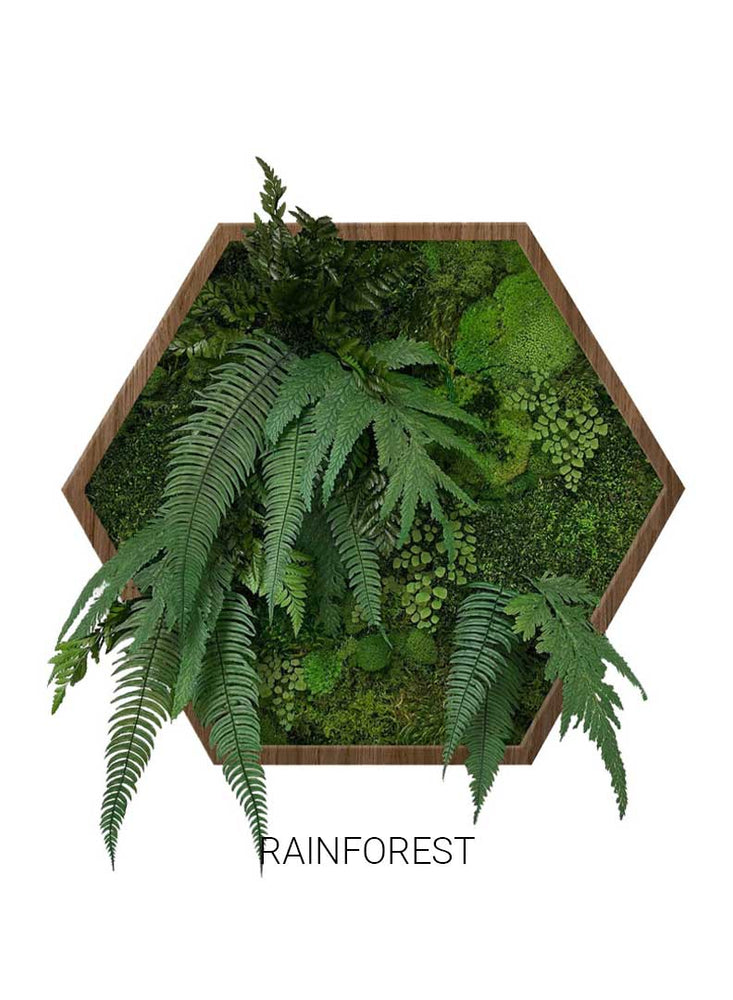 Rainforest | Hexagon Moss Art